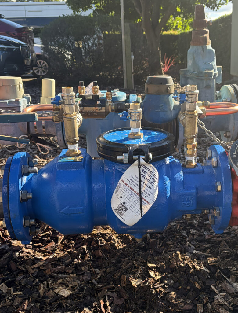 Double Check Detector Check DCDA