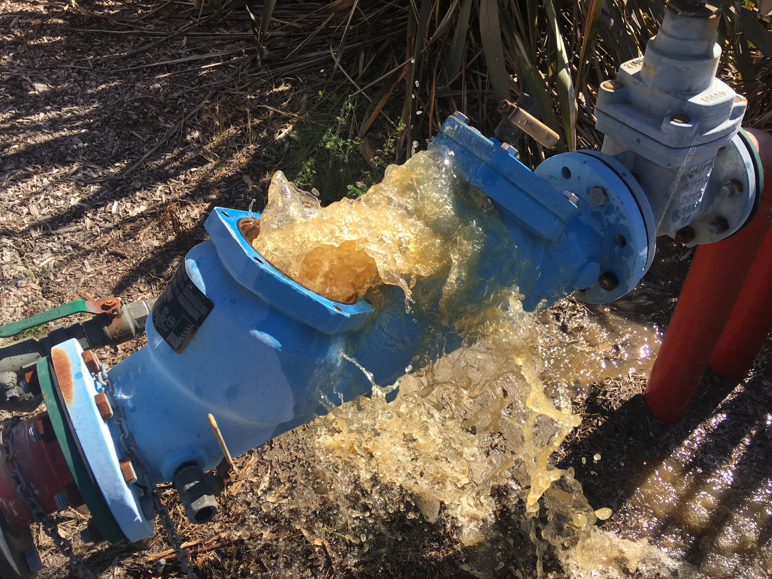 flushing a backflow device