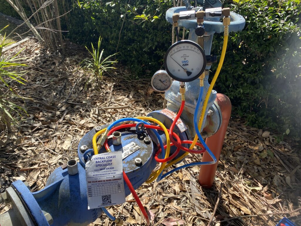 double check backflow valve with a test kit hanging from the OS&Y gate valve
